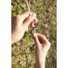 Палатка 6-местная BESTWAY FAMILY GROUND 6 490x280x200см, 2 слоя, 190T polyester PU, 3000мм, 120гр/м2 PE 68094 BW